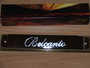 40 tonige mondharmonica_8
