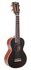 Concert ukulele Pearl_8